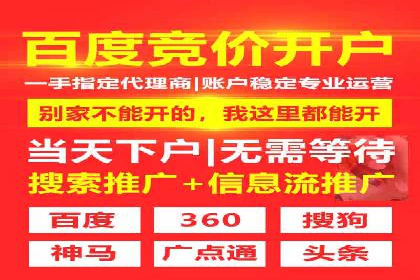SEM公司案例研究：数据驱动营销策略