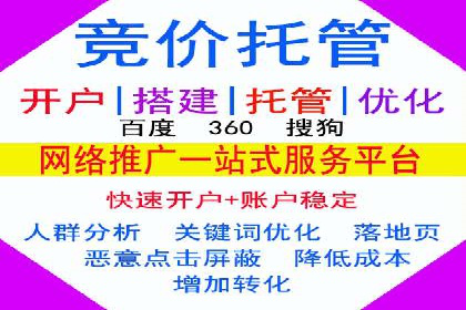 竞价推广策略解析：实战案例分析